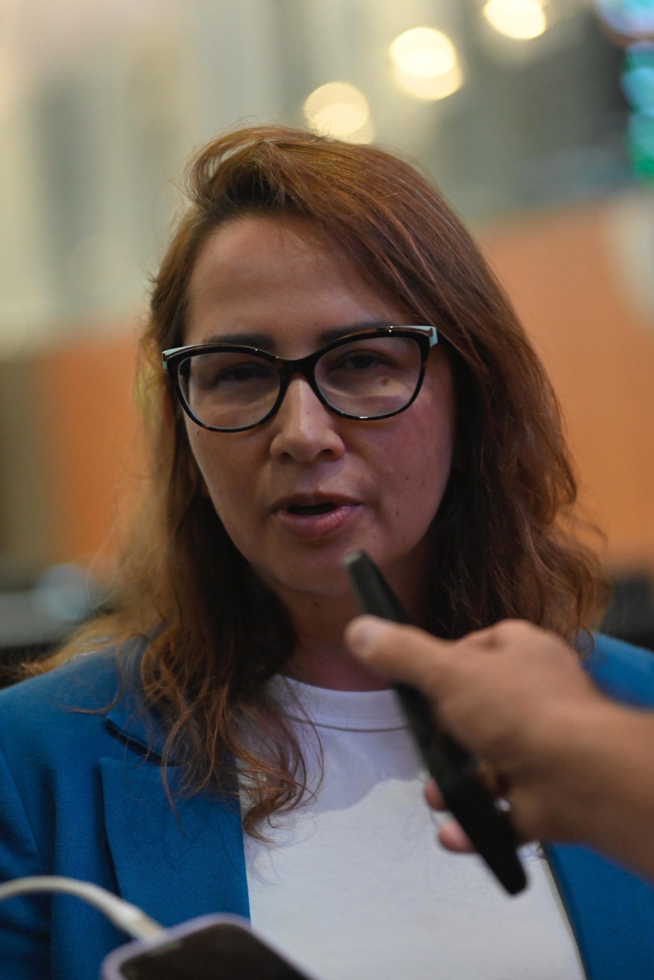 Débora Almeida perde liderança do PSDB para Diogo Moraes na Alepe